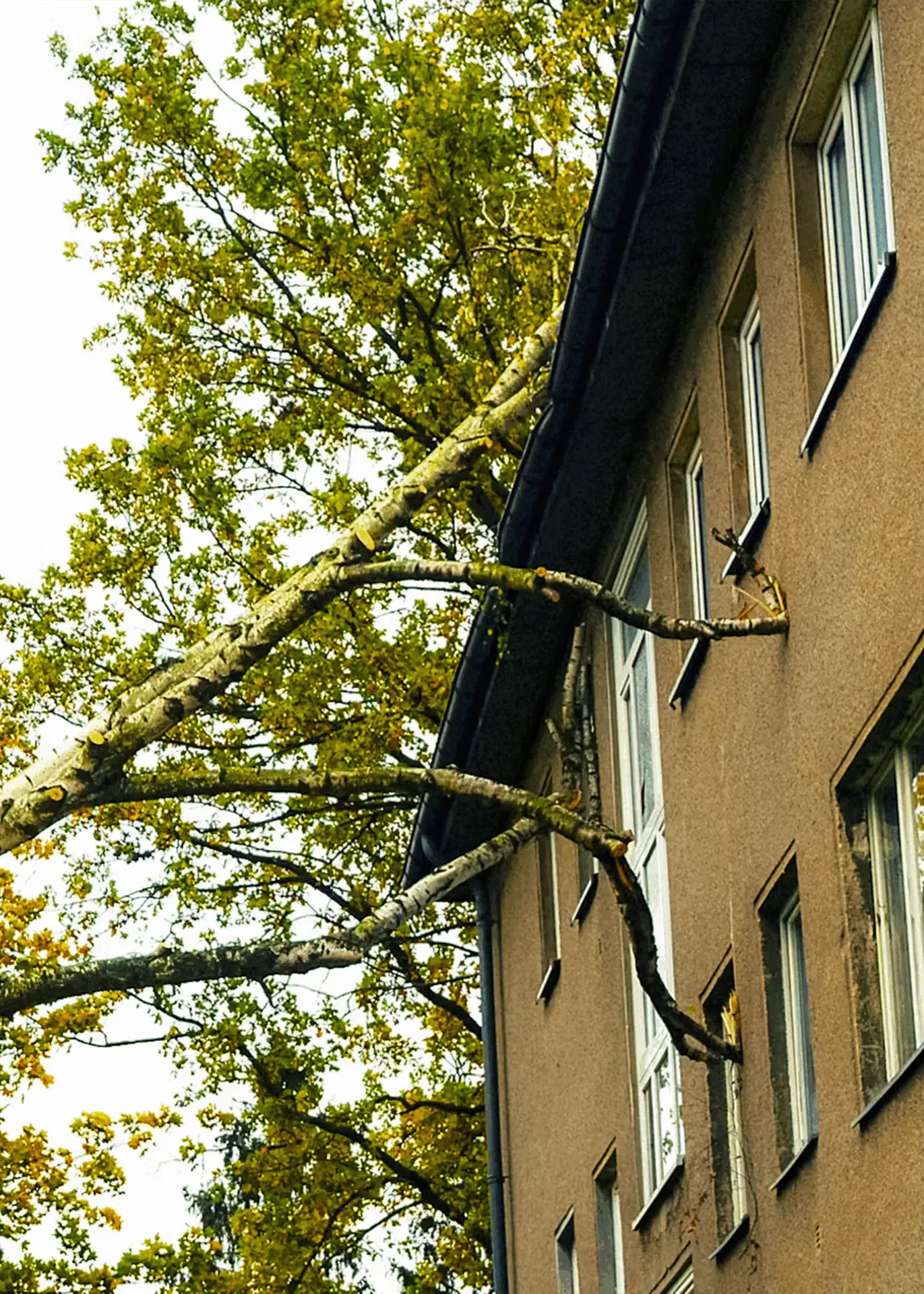 Schnelle Sturmschaden Leistungen